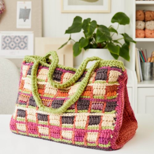 ColorfusionChunky SerenityChunky PlaidBag 2