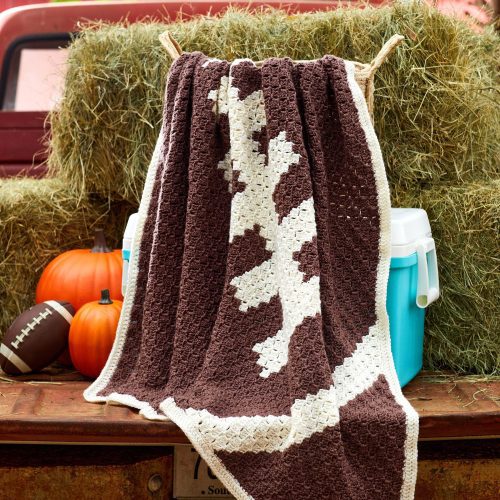 EverydayWorsted FootballLoveAfghan 1