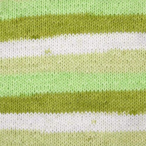 HomeCotton 44 62 SproutStripe swatch crop